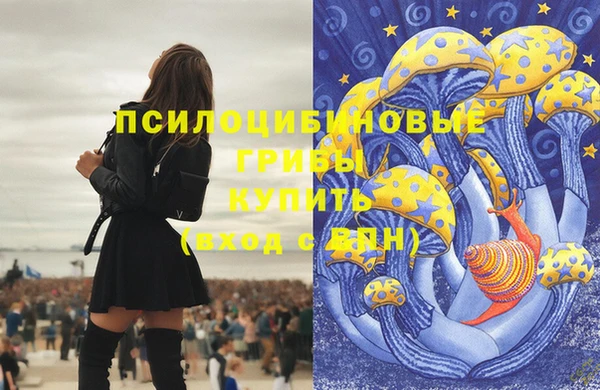 экстази Каменка