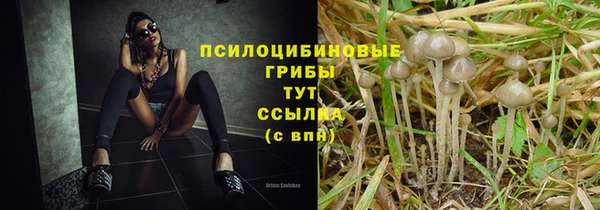 экстази Каменногорск